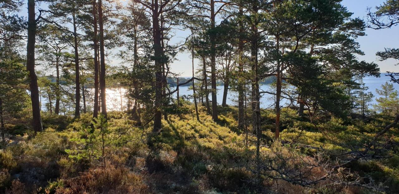 Hotel Rolfskaerrs Stugby Nygård Exterior foto
